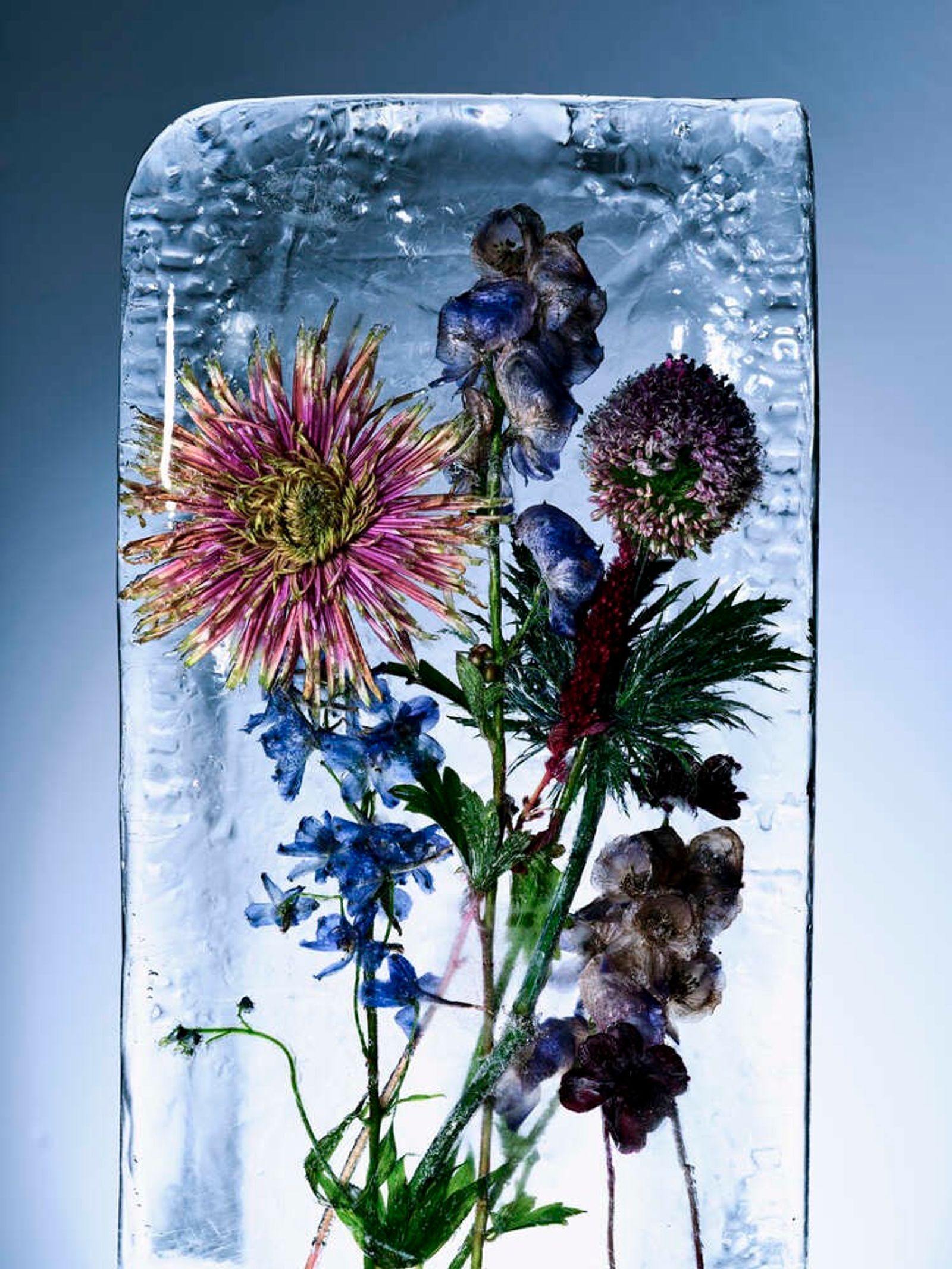 Vilhelm,|Photography by Benjamin Vigliotta - Rémi Le Garrec - Set Design - Swan MGMT