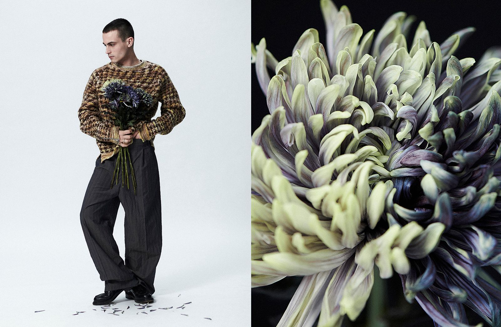 D section,|with Julien de Saint Jean - Laurent Humbert - Photography - Swan MGMT