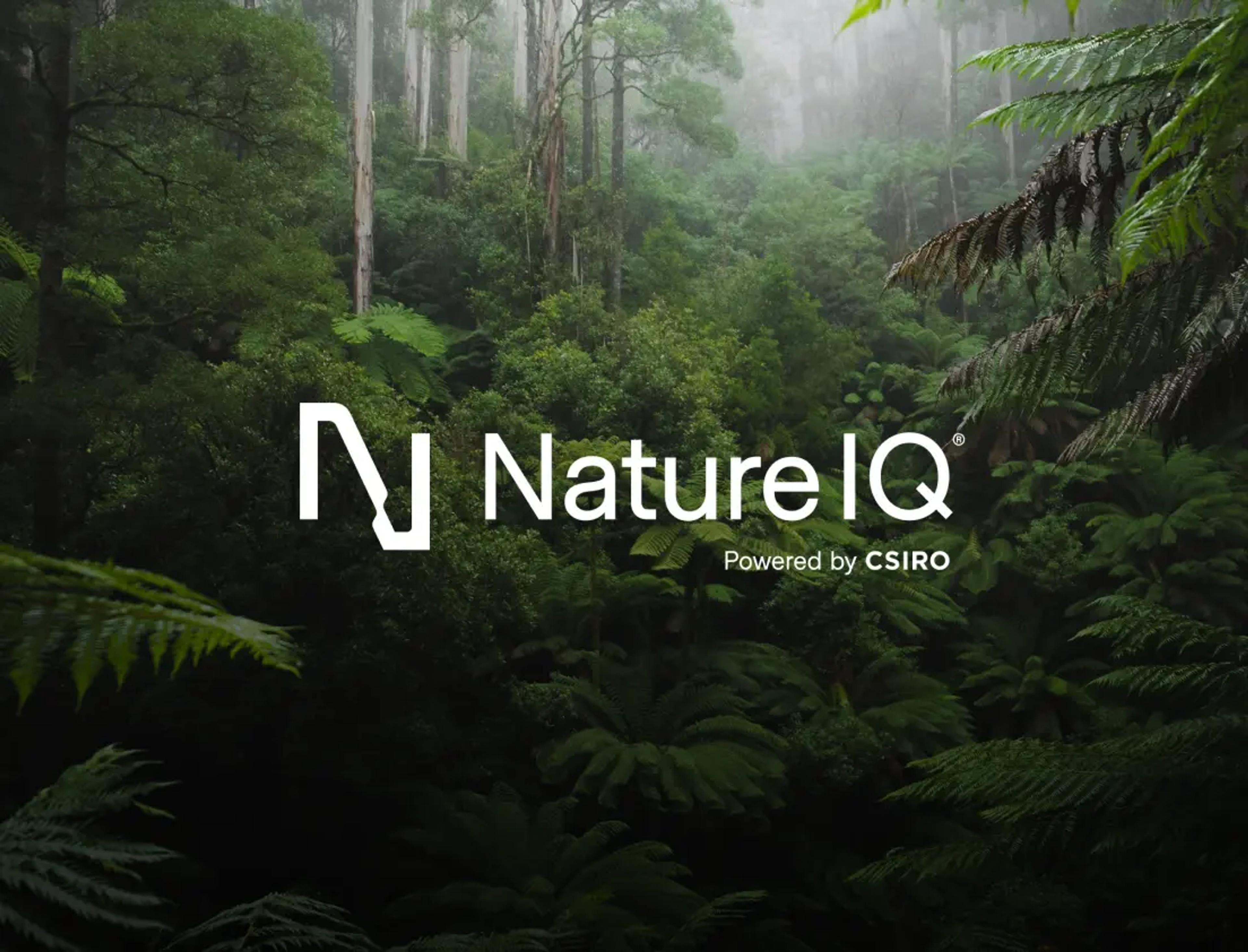 Nature IQ. A brand for nature-positive change.
