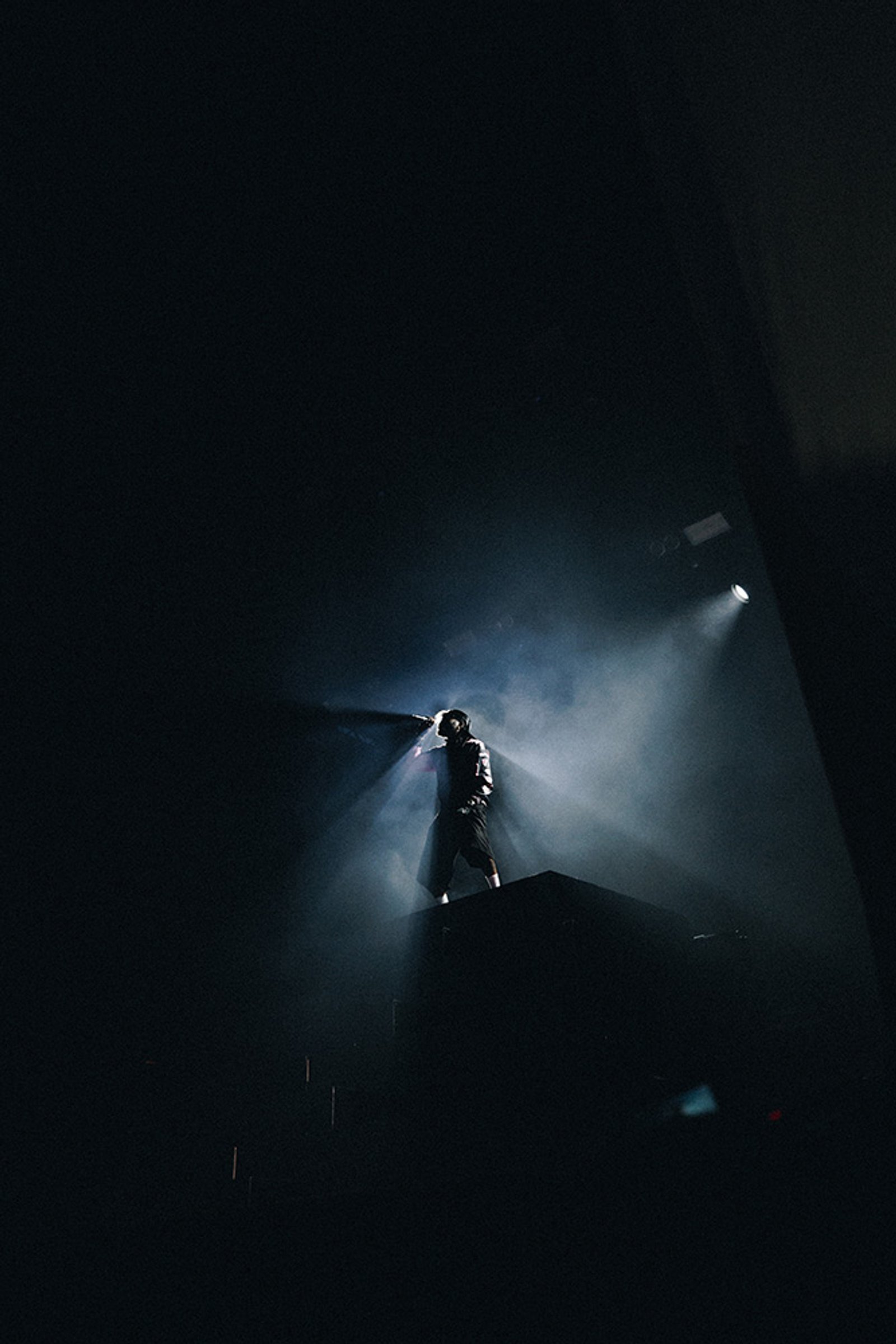 Representing: BJØRK — image 3