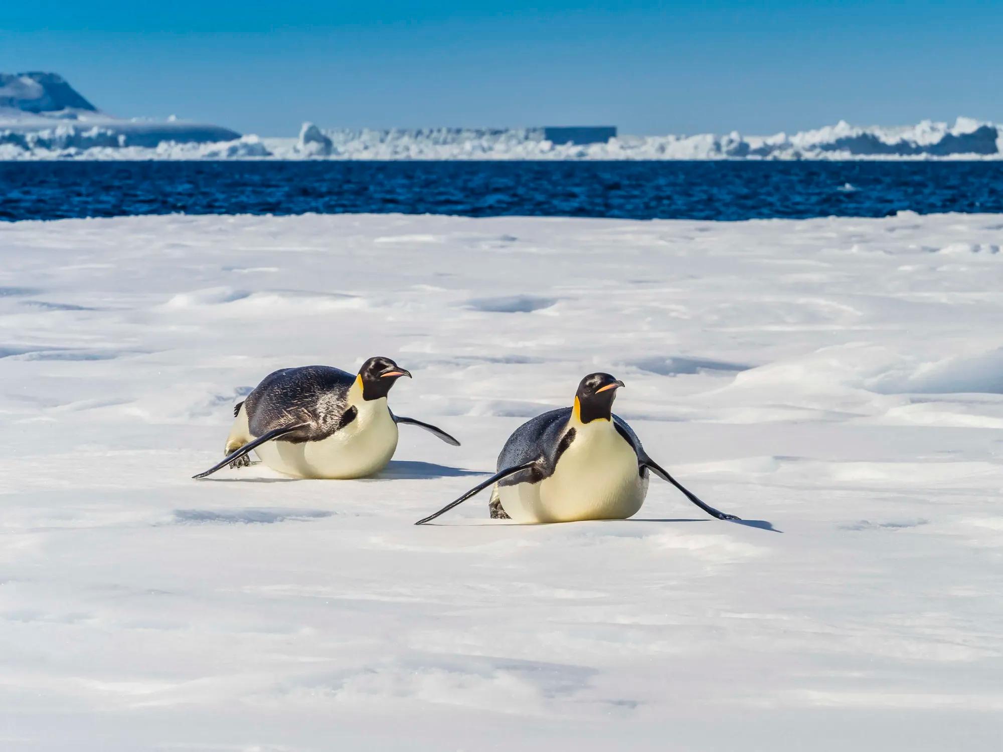 Birding Ambassador Gallery Ralph Image 3