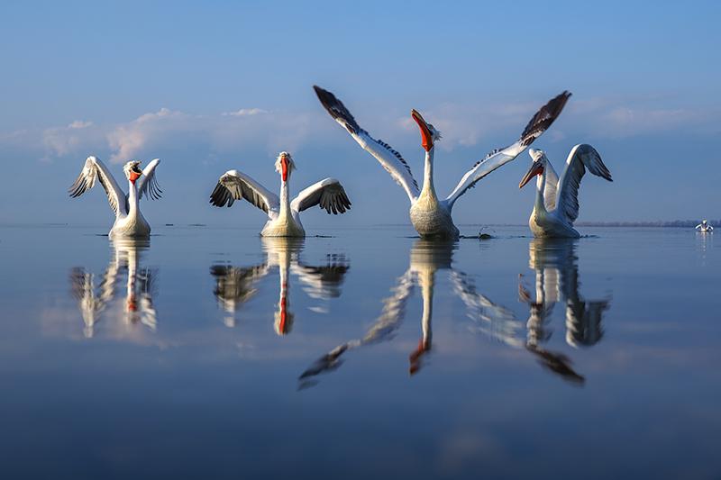 M.Zuiko Digital ED 12-100mm F4.0 IS PRO - gallery - 05