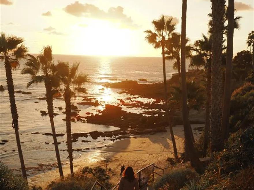 Coucher de soleil vu depuis la hauteur au-dessus de la plage, avec les palmiers, le sable et l’eau en contrebas.