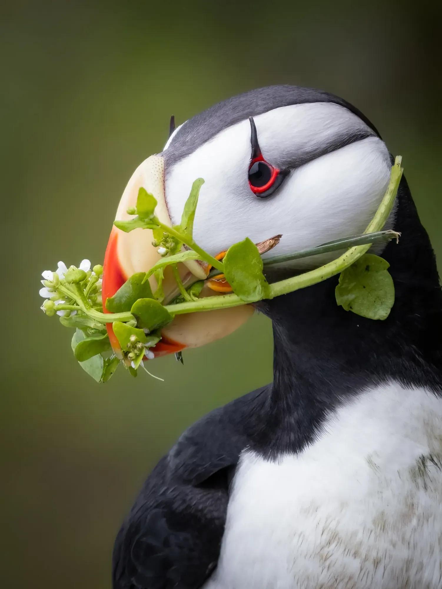 Birding Ambassador Gallery Ben Image 3