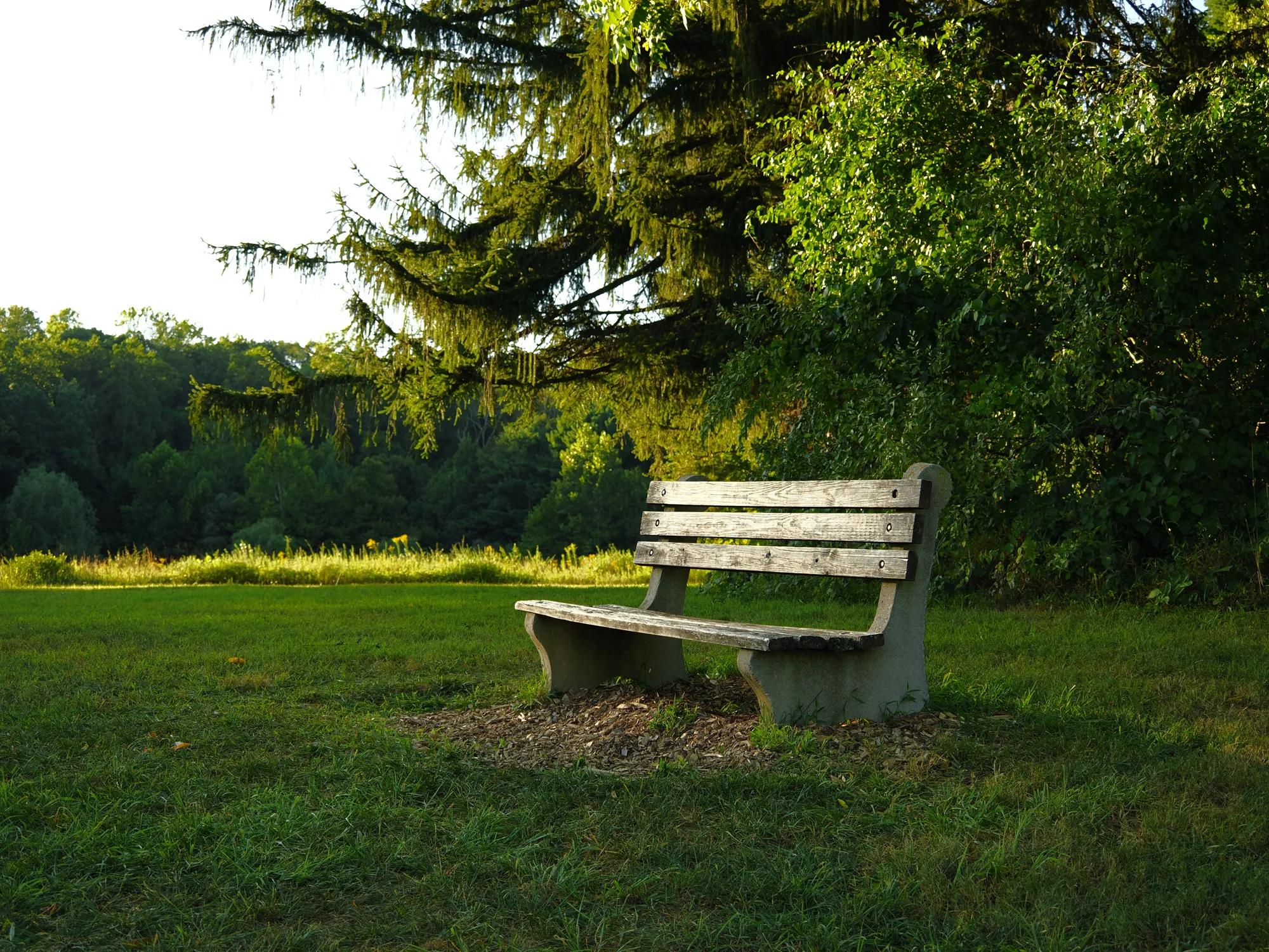 Creative Recipes Gallery Image 5