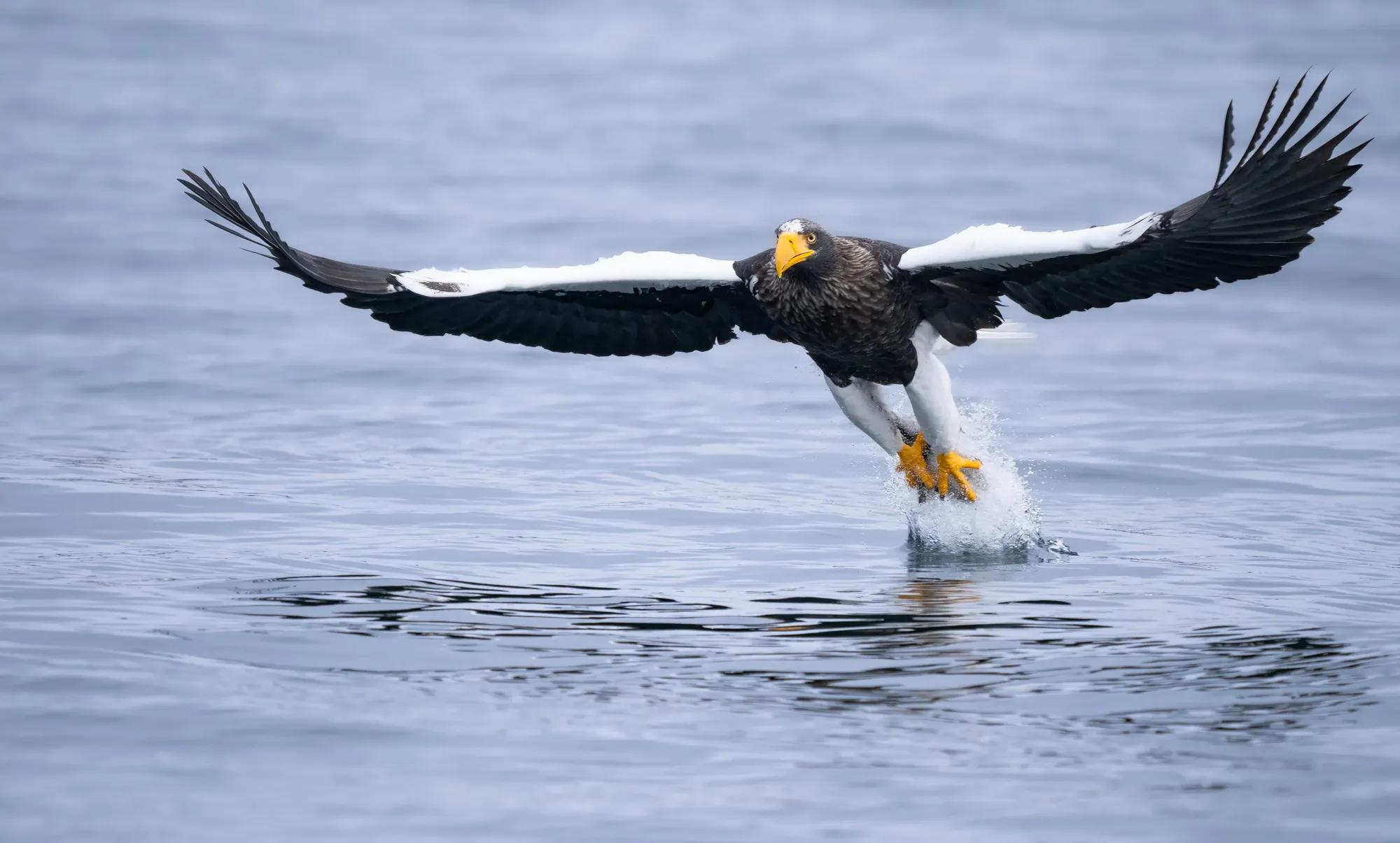 Birding Ambassador Gallery Ben Image 5