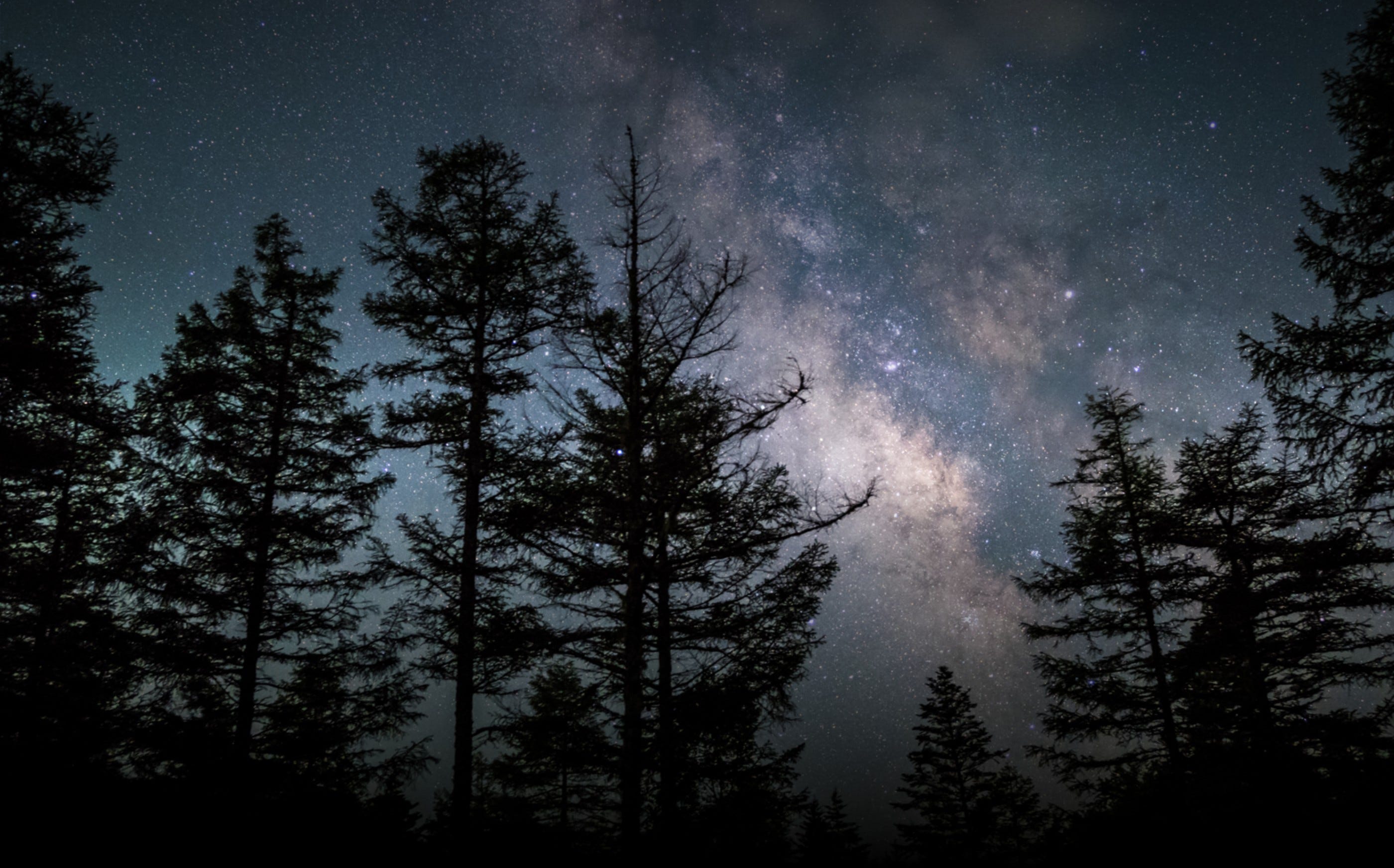 ニッコール O2.1cmf4 ニッコール O2.1cmf4 Nikkor-O 2.1cm f/4 | Richard Haw's