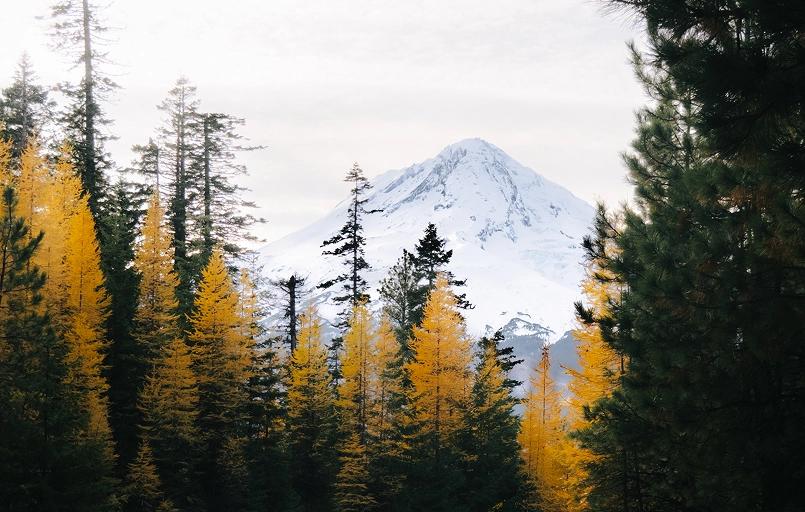 Photo of Mountain in the background slightly off center with green and leave trees in the foreground.