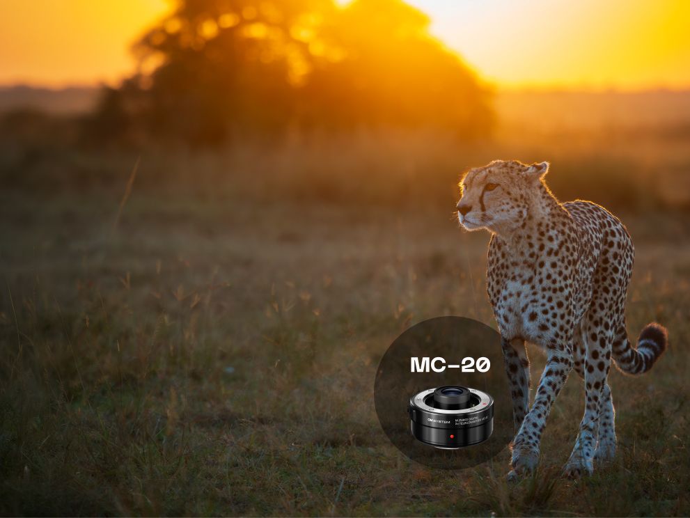 mc-20-converter-promotion-2026-navi-menu