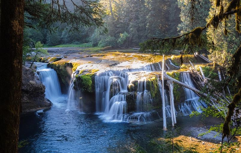 Photo of Mountain in the background slightly off center with green and leave trees in the foreground.