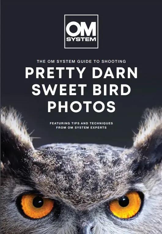 Bird Photography form EMEA