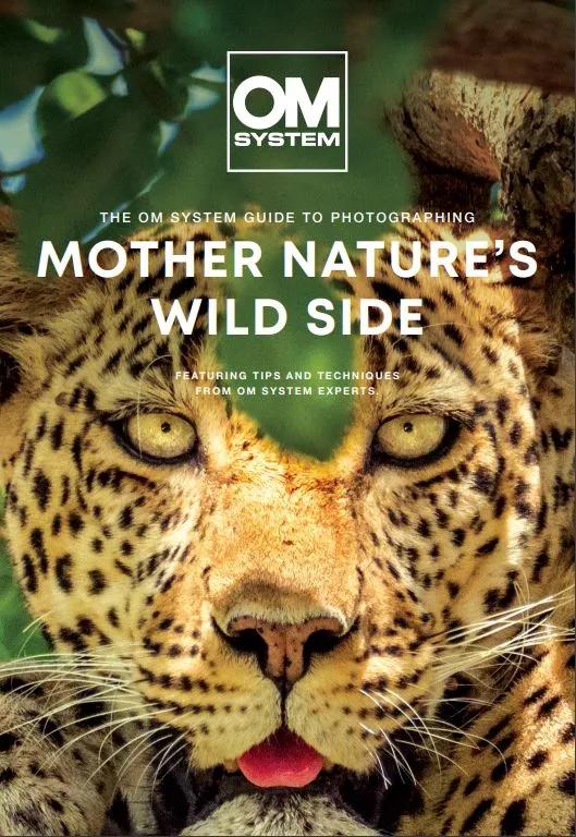 Wildlife photography form EMEA