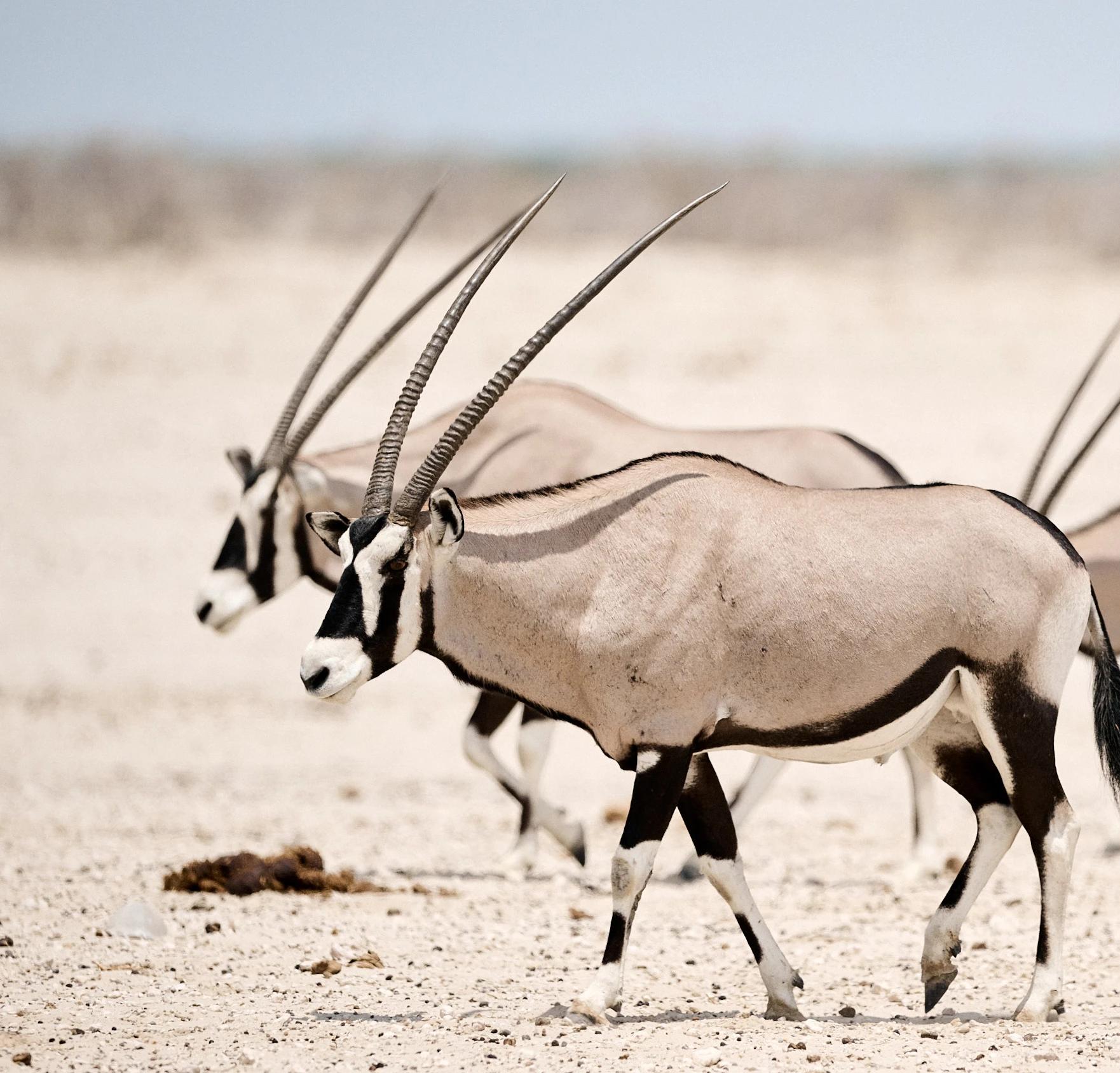 Participez et gagnez