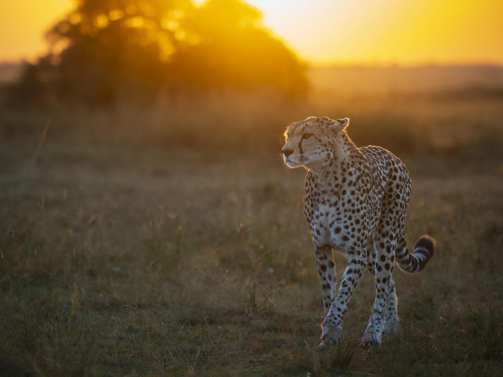 50-200mm F2-8 pro - gallery - image 3