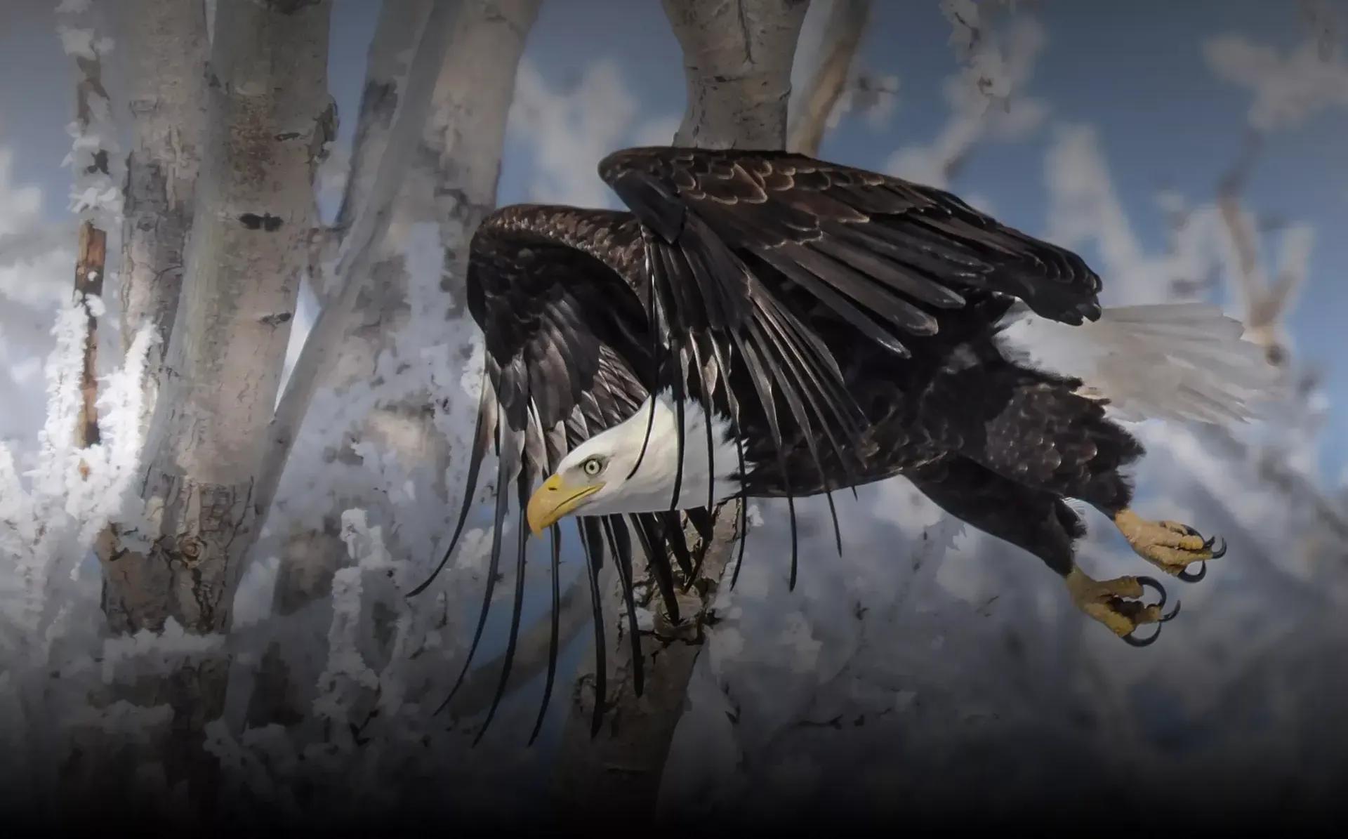 Buy OM-1 From OM SYSTEM