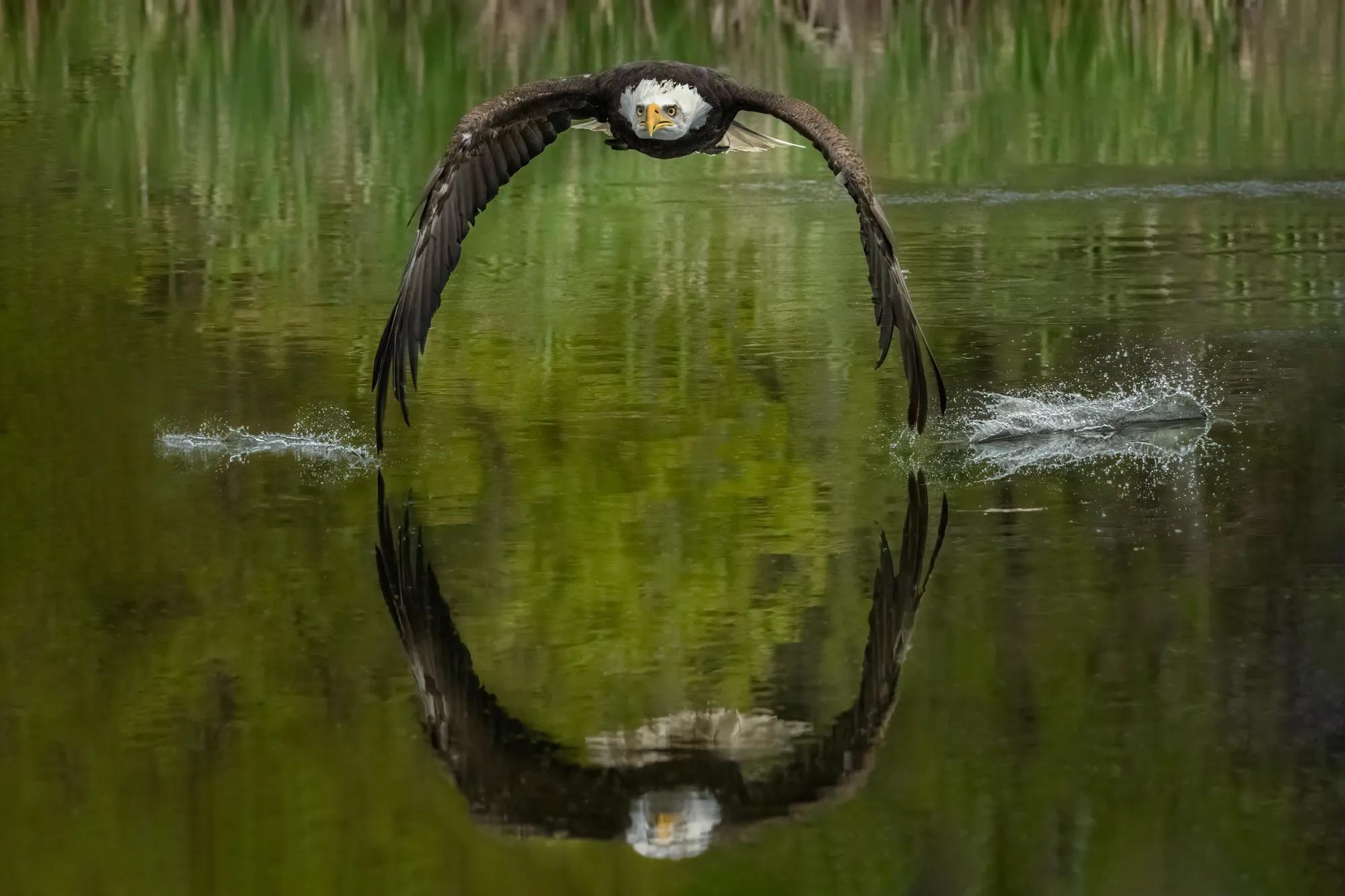 Birding Ambassador Gallery Lisa and Tom Image 3
