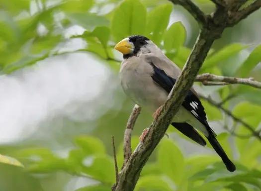150-600mm-a-unique-view_o_85