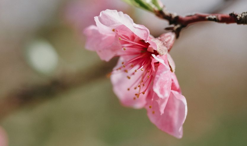 Vårens spännande erbjudande