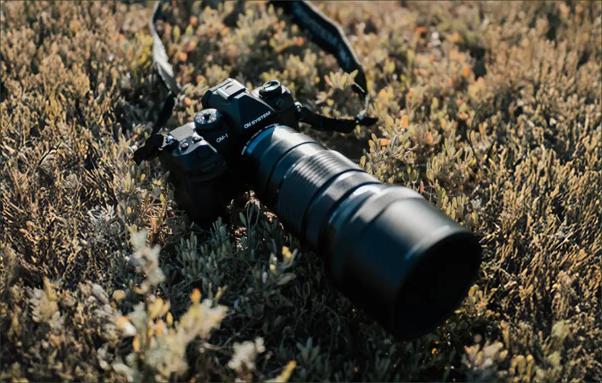 Person holding an OM SYSTEM OM-1 Mark II