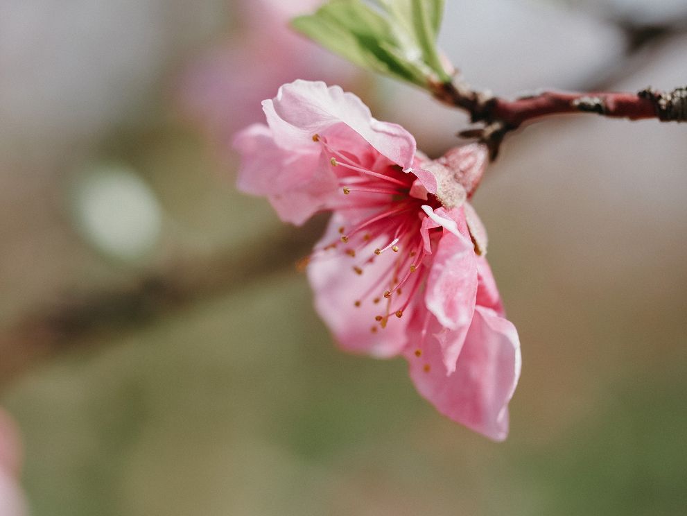 spring-savings-2026-navi-menu