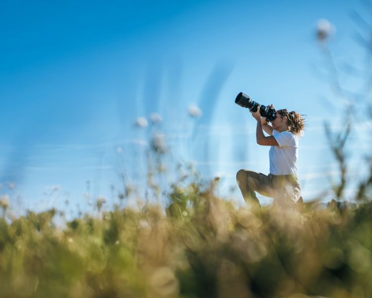 Summer Lens Cashback