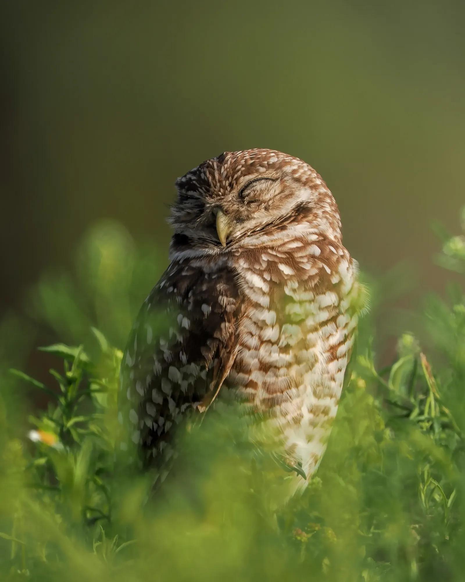 Birding Ambassador Gallery Chris Image 3