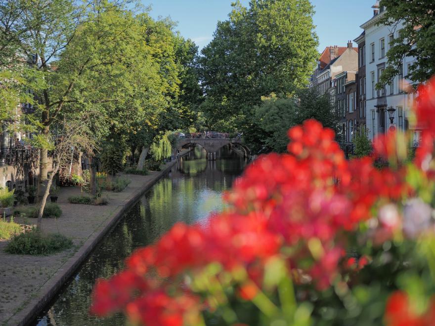Photo of a park pond with red flowers blurred in the foreground
