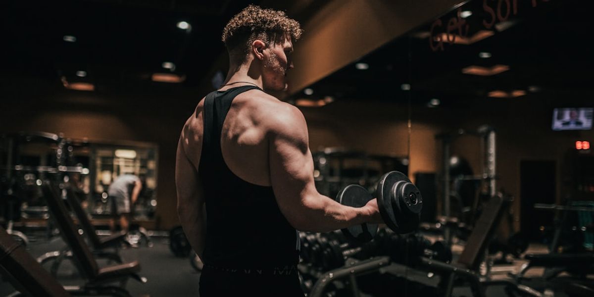 What Is the Best Workout Progress Tracker for Beginners in 2026