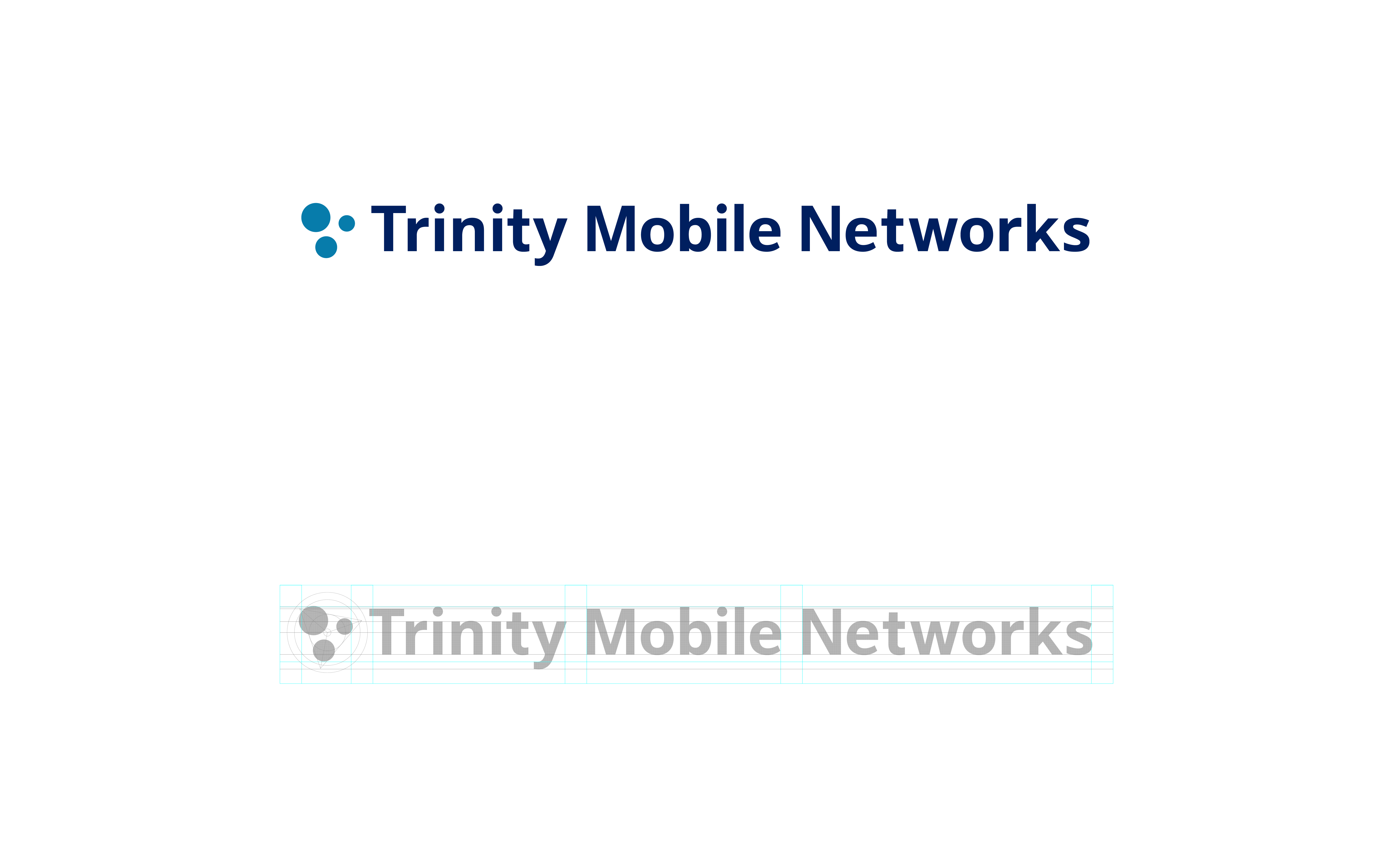 Wide Logo