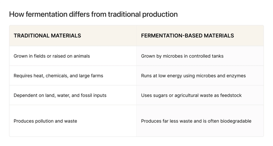 Visual graphic of how fermentation differs from traditional production