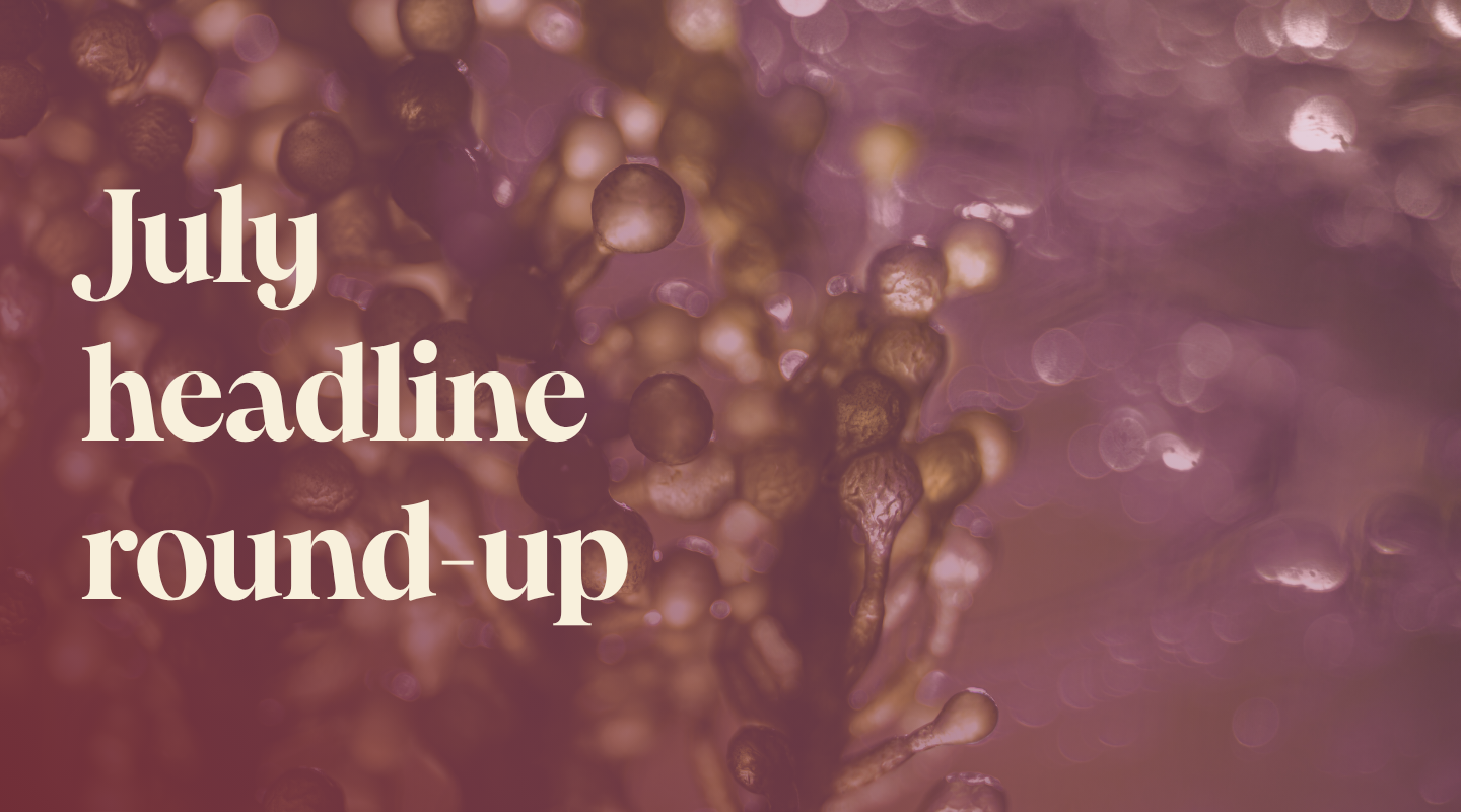 July news round-up: Nylon, nylon, BioPuff®