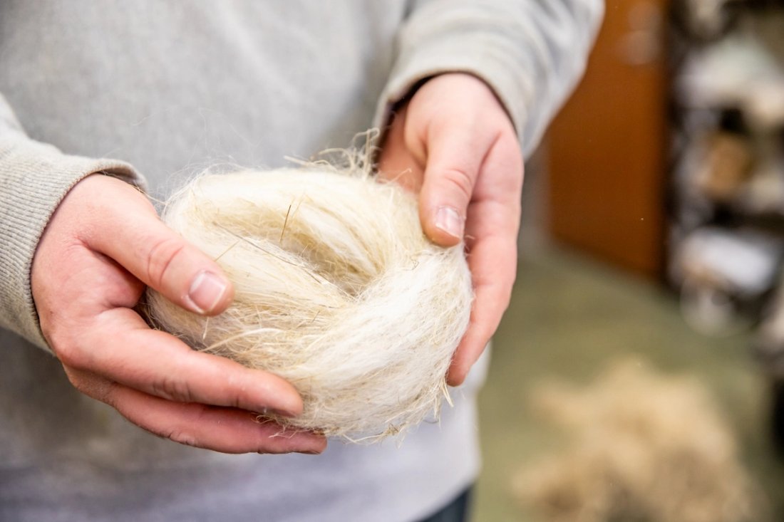 A person in a grey sweater holds a bundle of processed hemp fibers.