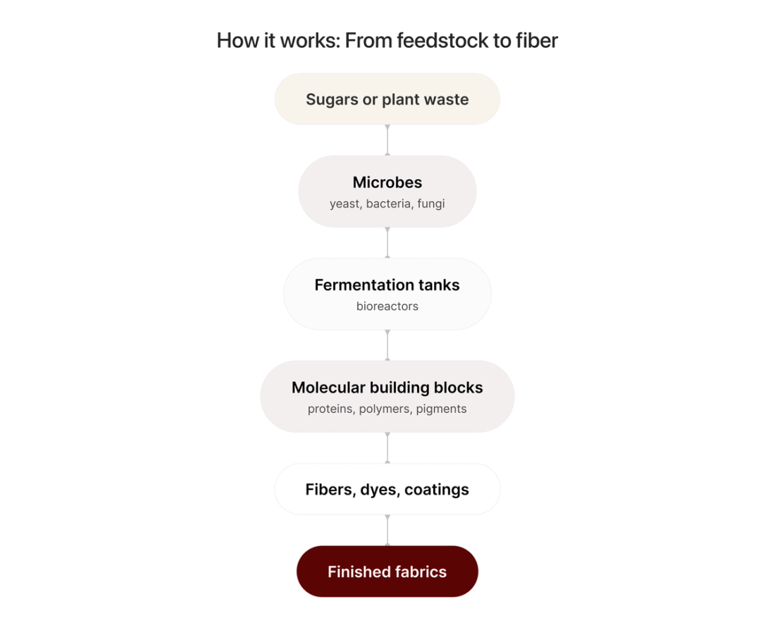 Process map graphic showing the process for for fermentation processes to create bio-fabrics
