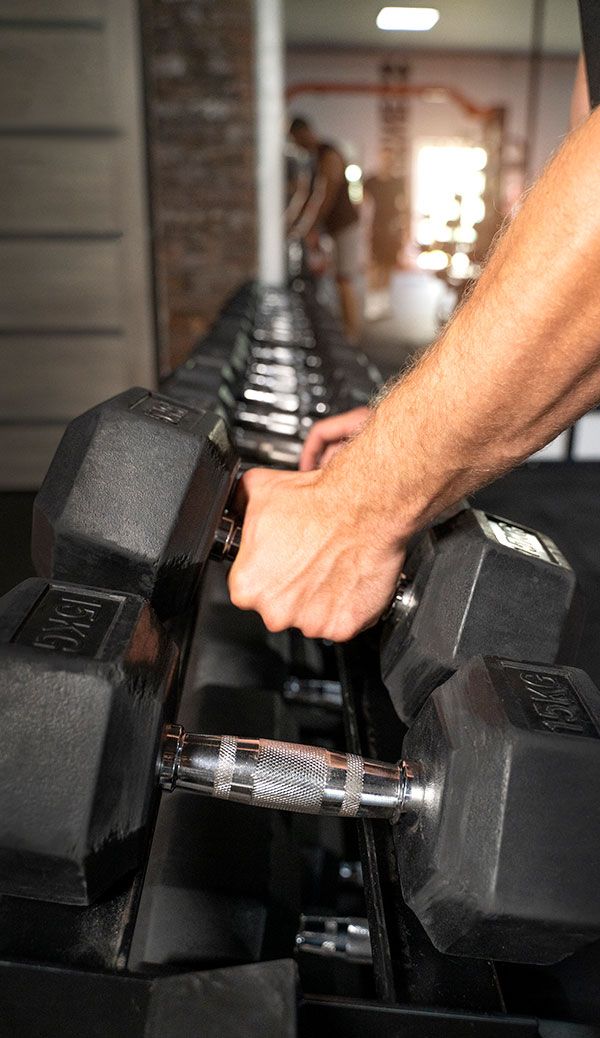 Gimnasio Fitness