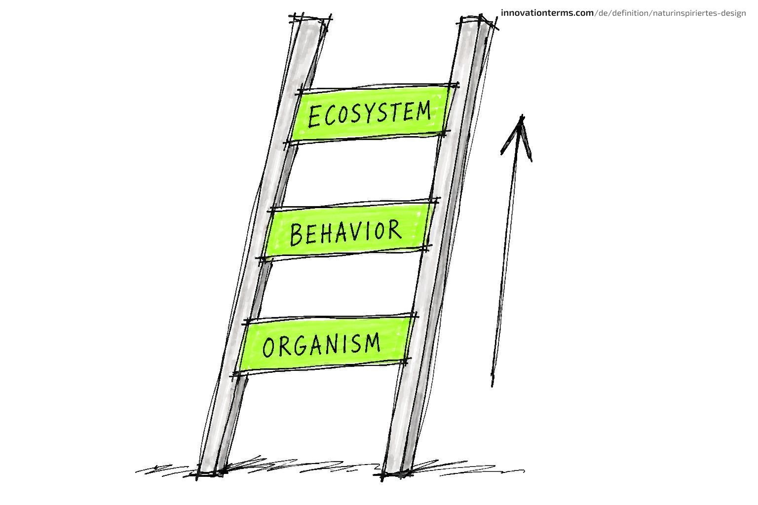 A ladder rises through three rungs labeled Organism, Behavior, and Ecosystem.