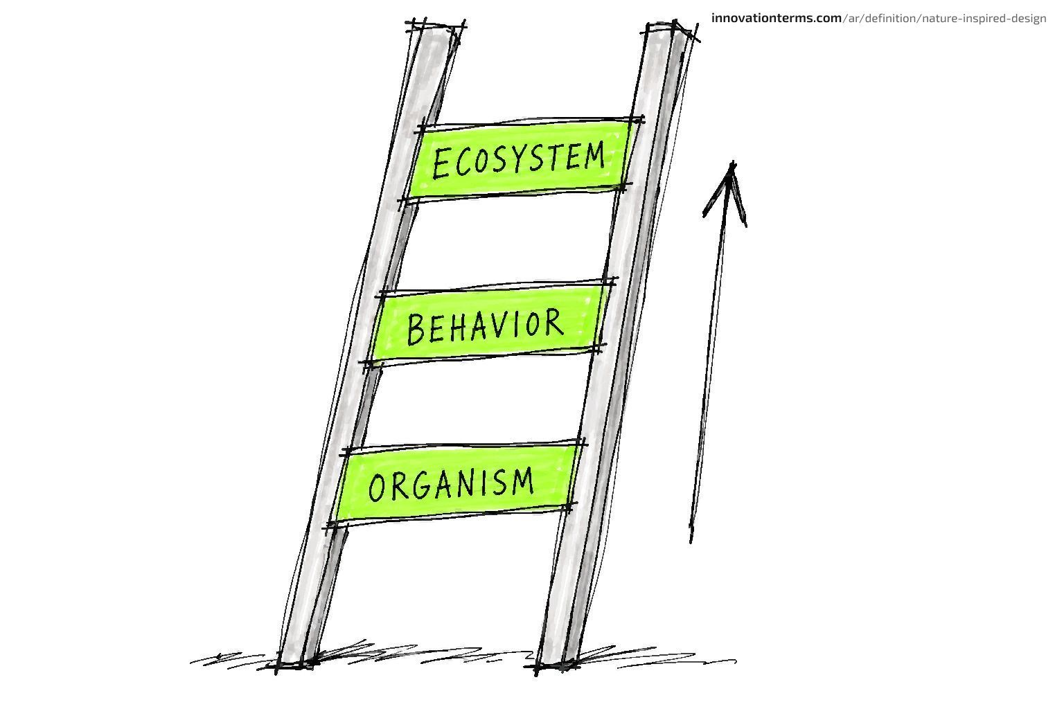 A ladder rises through three rungs labeled Organism, Behavior, and Ecosystem.