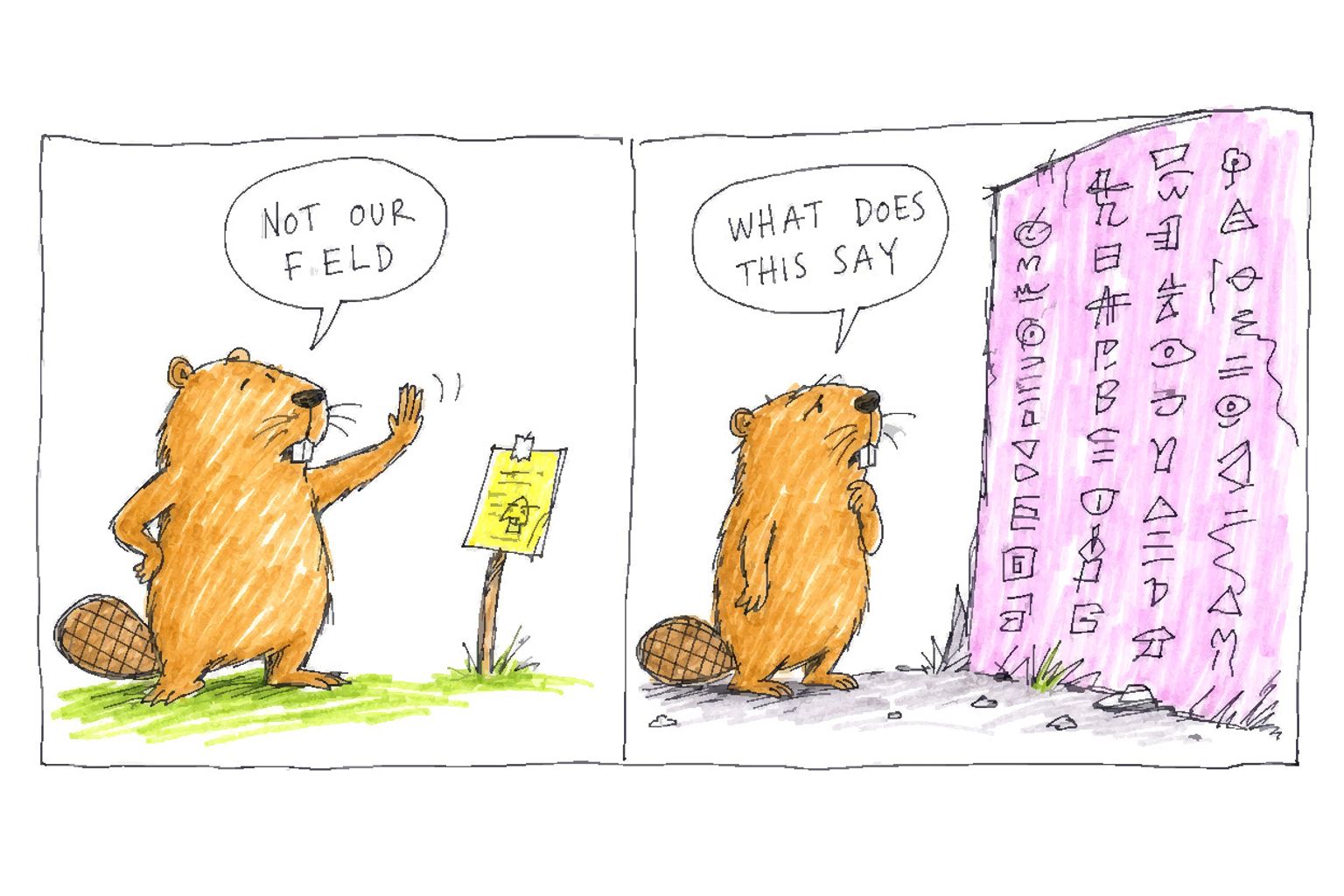 A two-panel comic shows a beaver dismissing a notice as NOT OUR FIELD, then later staring at unreadable symbols on a wall.