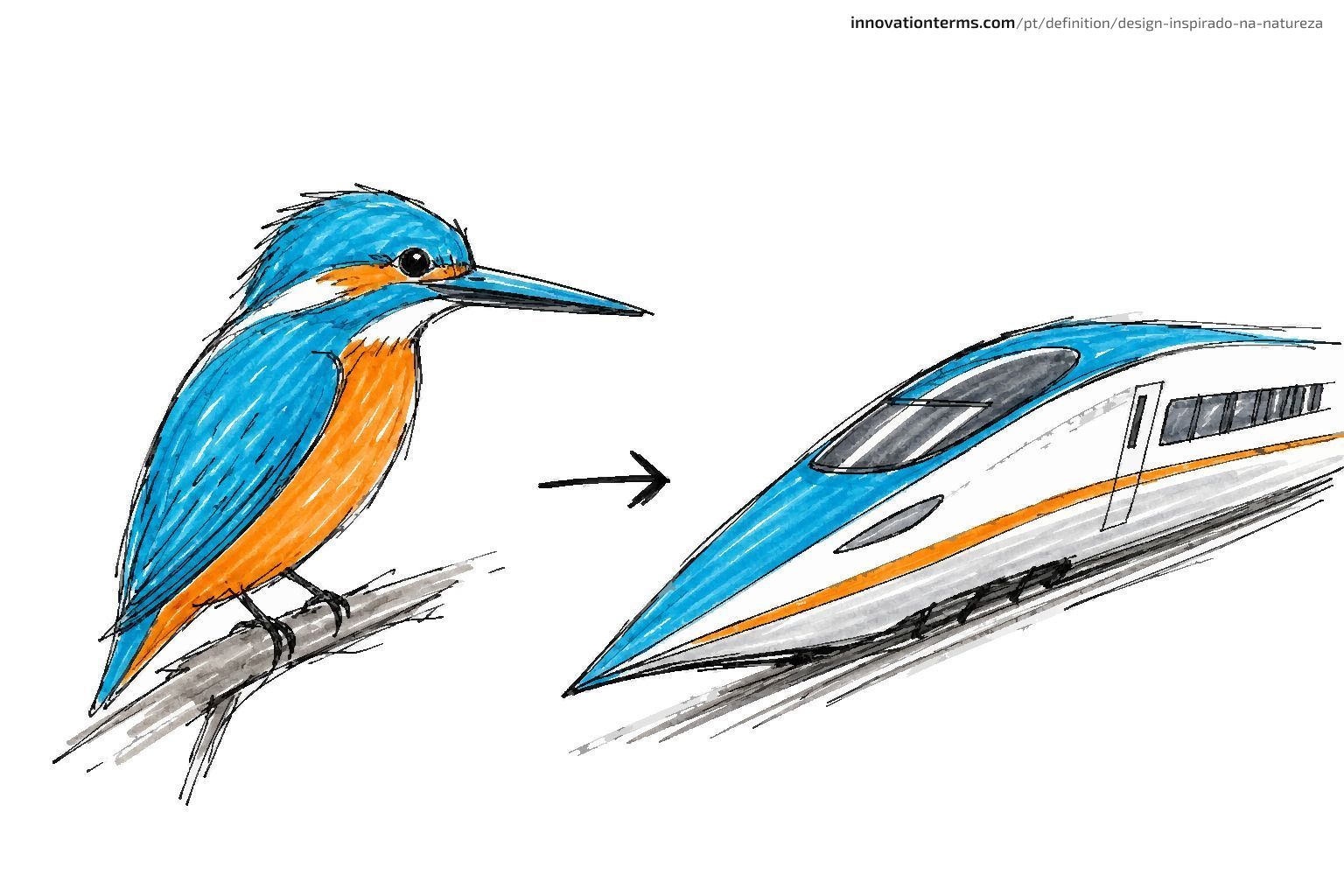 A kingfisher's pointed beak and a bullet train nose mirror each other across a simple arrow.