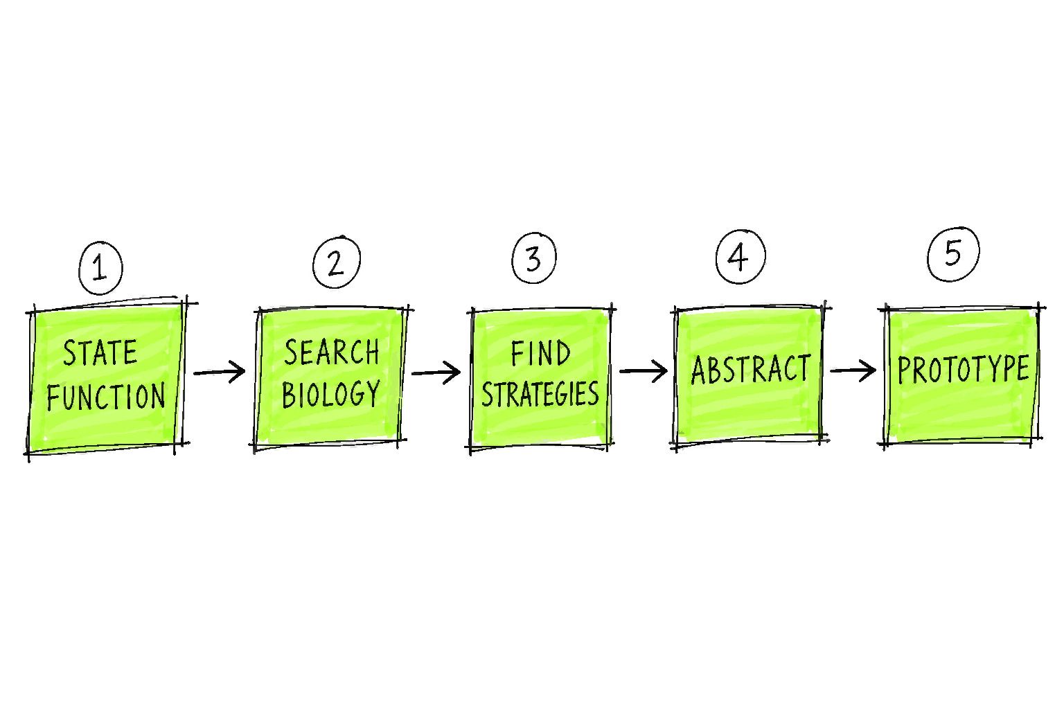 Five boxes connected by arrows read State Function, Search Biology, Find Strategies, Abstract, and Prototype.