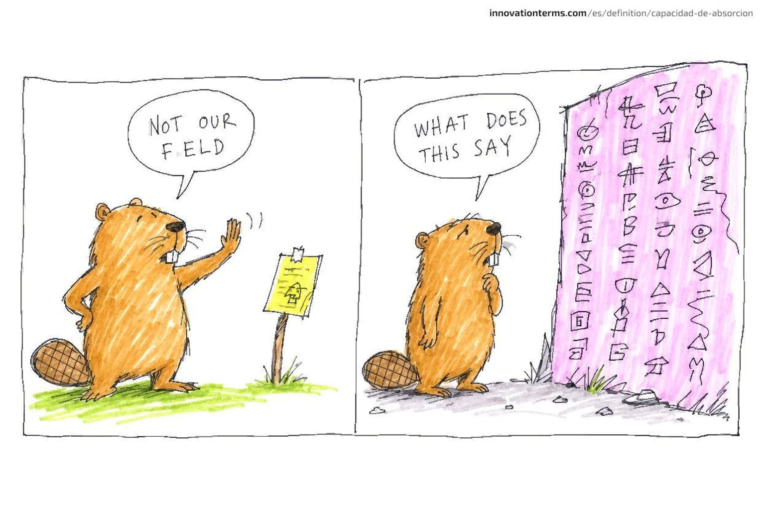A two-panel comic shows a beaver dismissing a notice as NOT OUR FIELD, then later staring at unreadable symbols on a wall.