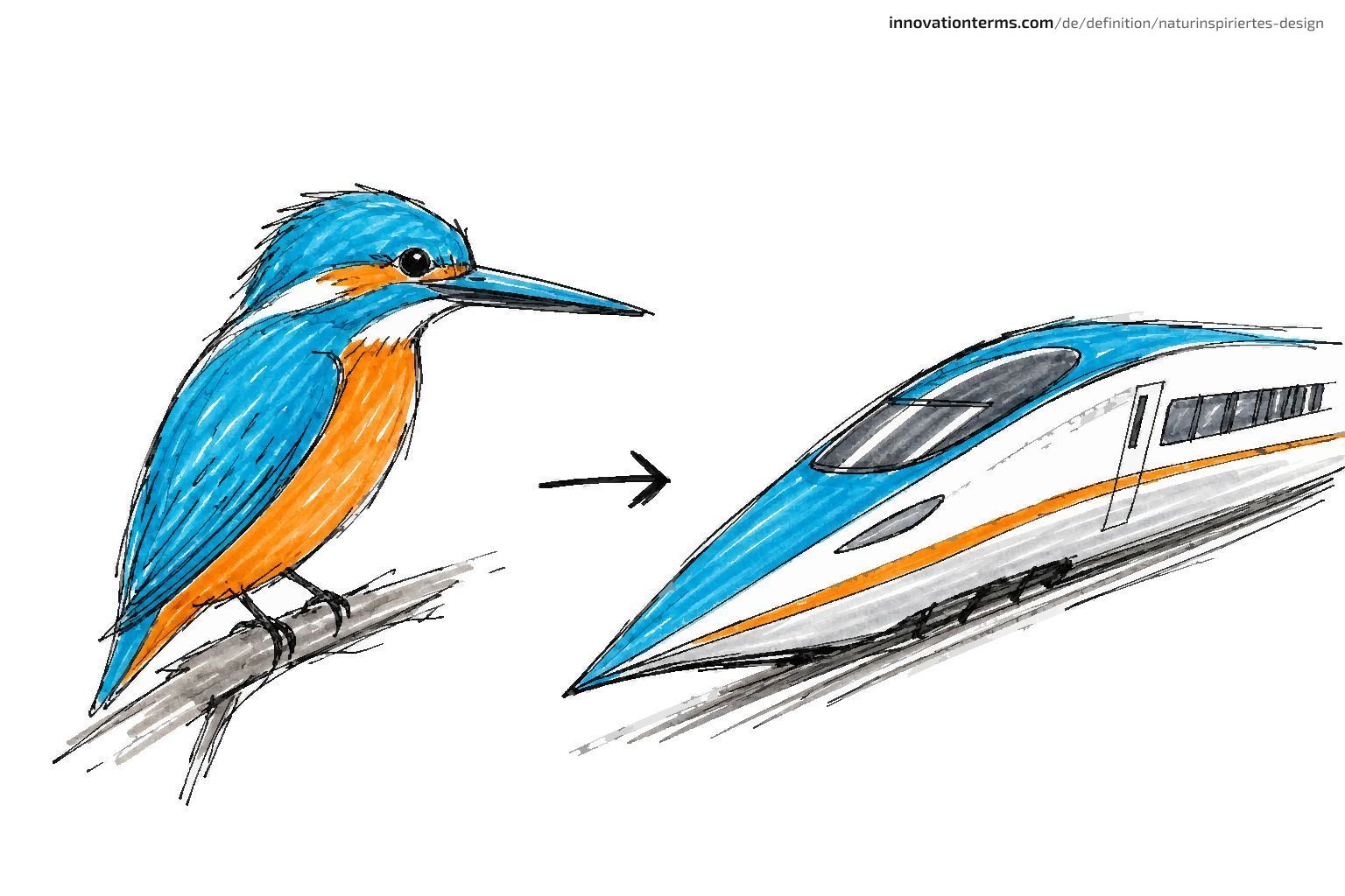A kingfisher's pointed beak and a bullet train nose mirror each other across a simple arrow.