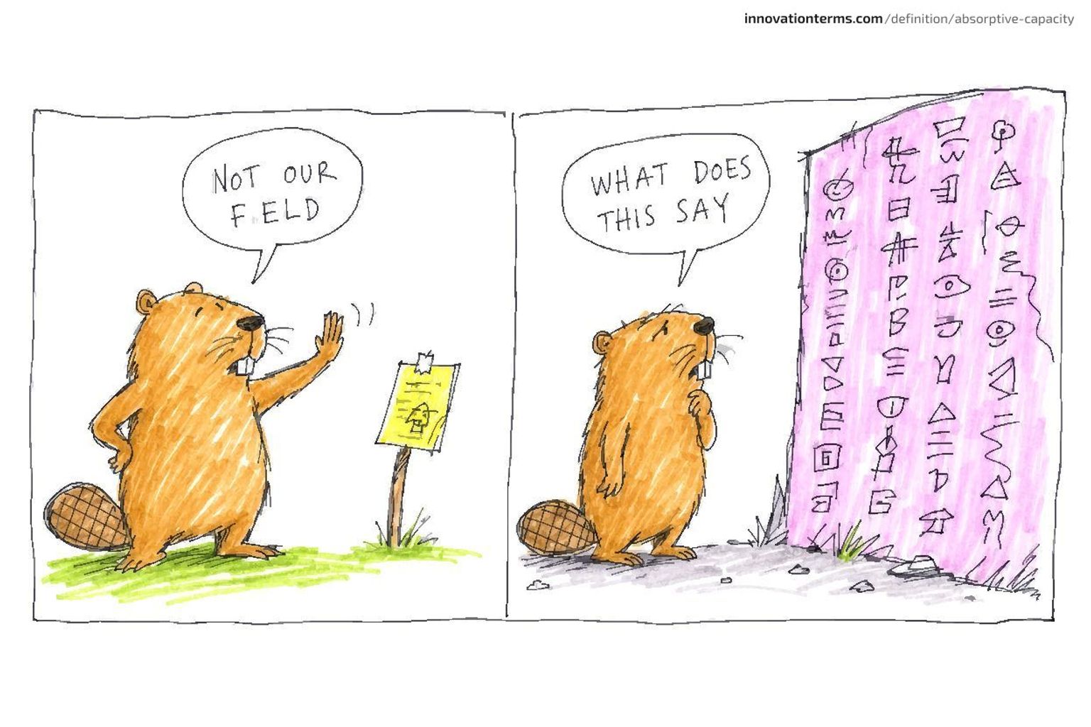 A two-panel comic shows a beaver dismissing a notice as NOT OUR FIELD, then later staring at unreadable symbols on a wall.