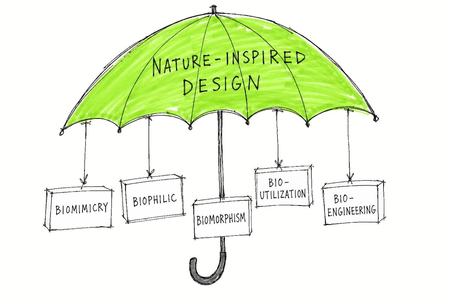 A yellow umbrella labeled Nature-Inspired Design hangs tags for Biomimicry, Biophilic, Biomorphism, Bio-Utilization, and Bio-Engineering.
