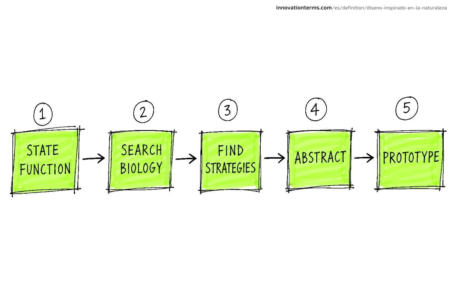 Five boxes connected by arrows read State Function, Search Biology, Find Strategies, Abstract, and Prototype.