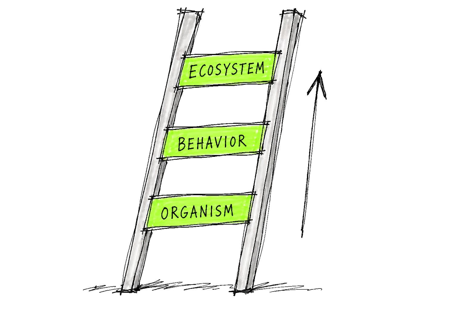 A ladder rises through three rungs labeled Organism, Behavior, and Ecosystem.