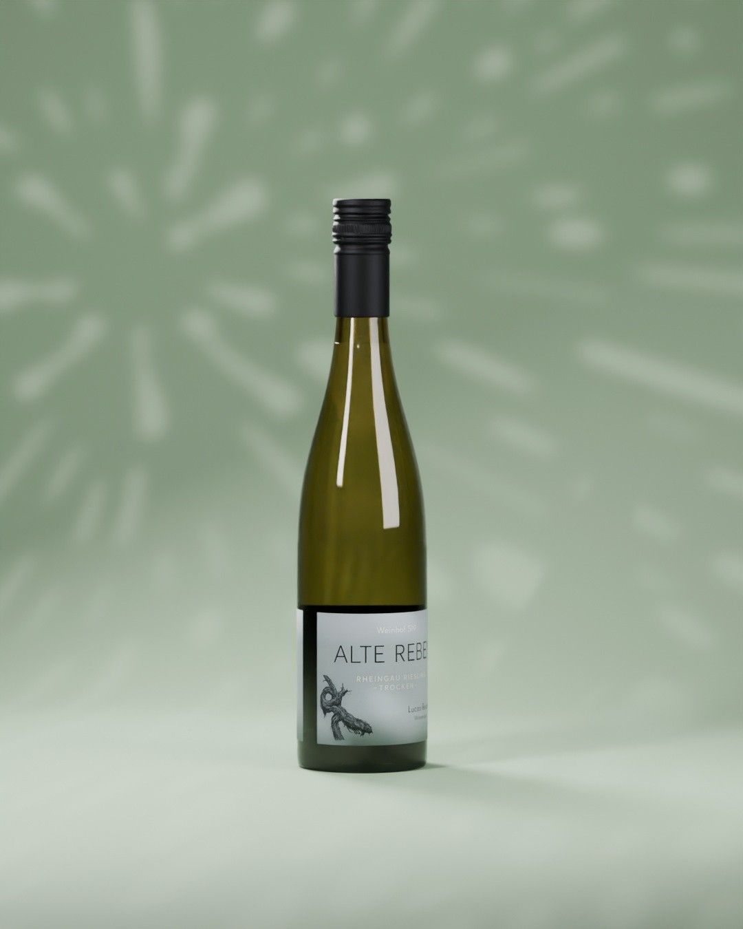 The 3D Alte Reben Riesling bottle turning from a white wireframe into real glass on sage green