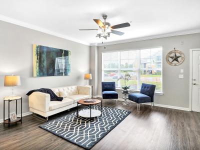 The Vintage at Zona Rosa Apartment Homes - Image 2