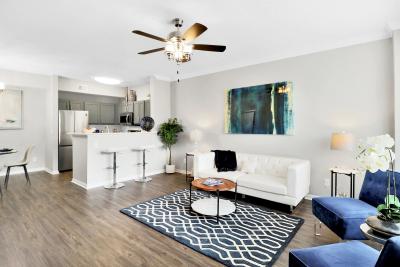 The Vintage at Zona Rosa Apartment Homes - Image 4