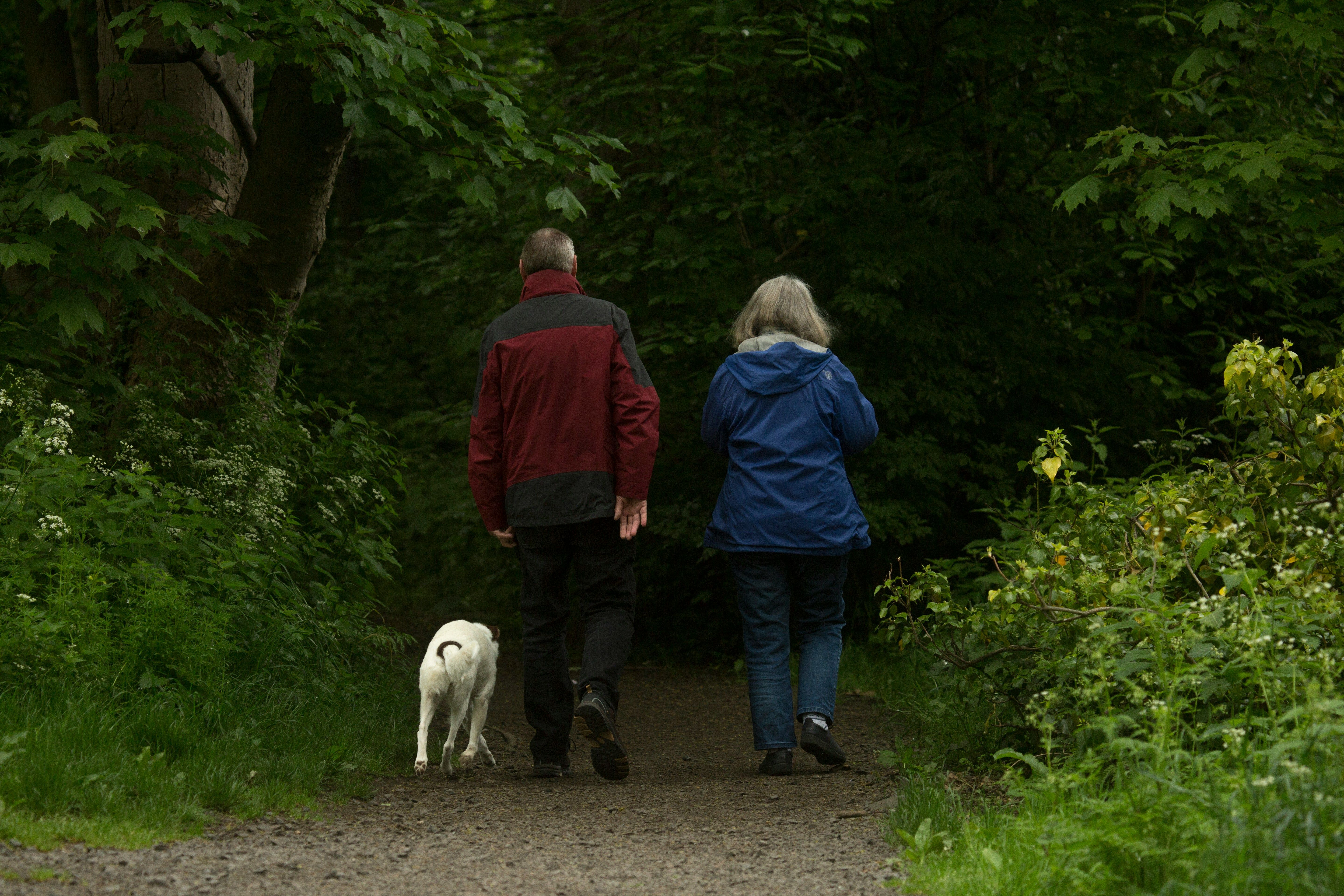 couple walking in the woods with a dog