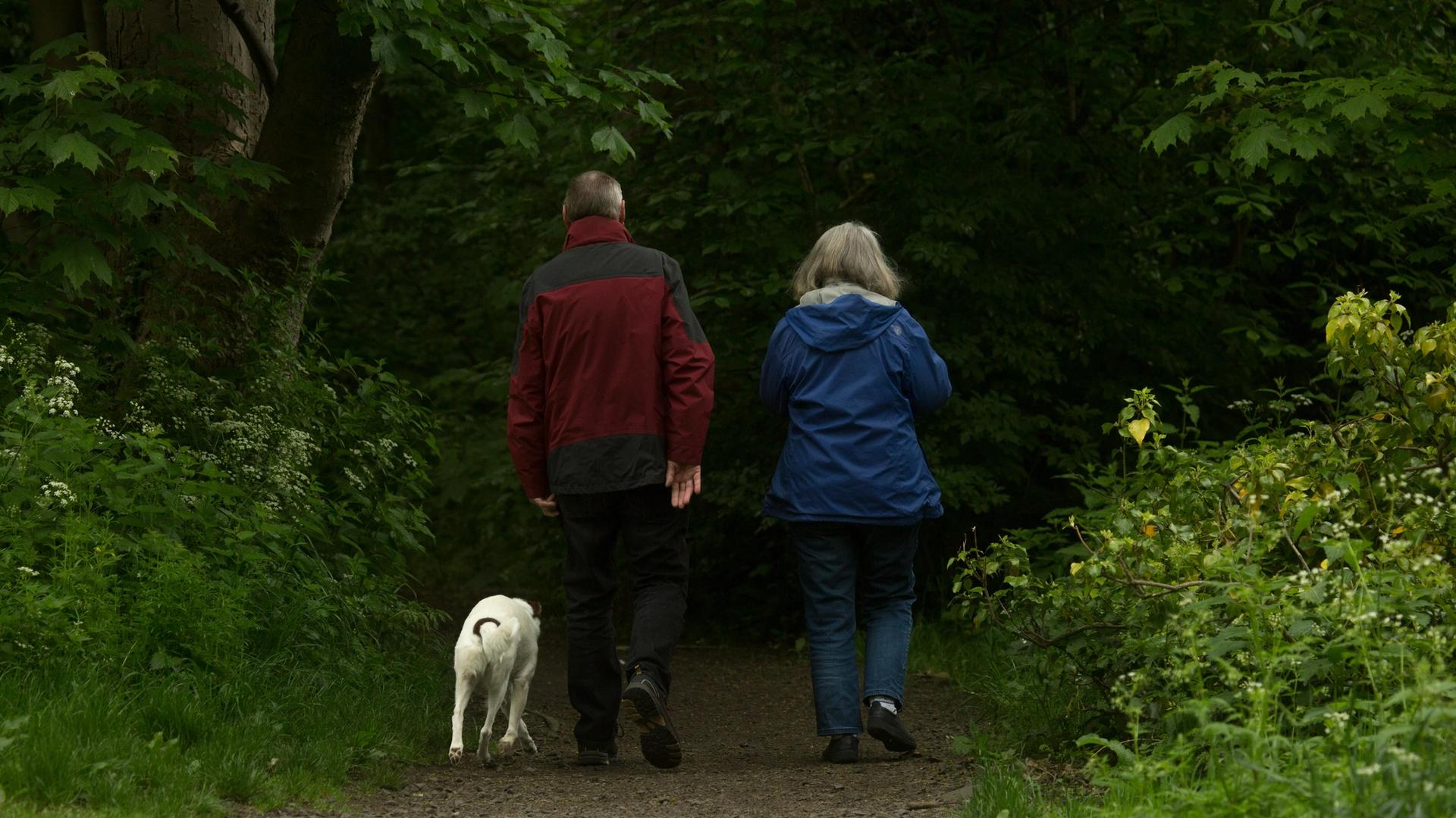 couple walking in the woods with a dog